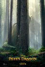 Pete's Dragon