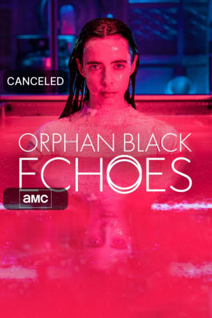 Orphan Black: Echoes