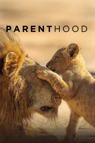 Parenthood (2025)_0001