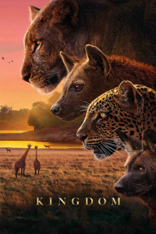 Kingdom (2025)_0001