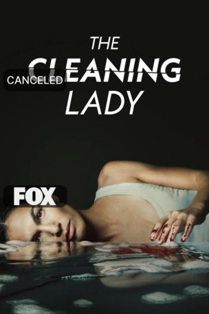 Cleaning Lady