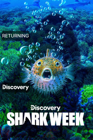 Shark Week