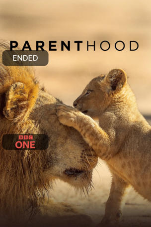 Parenthood (2025)